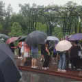 交大封锁了